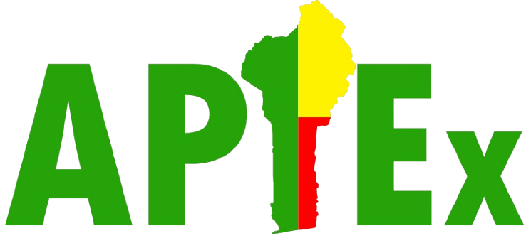 APIEX-BENIN